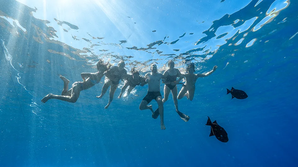 Group of Snorkelers Swimming together with Tropical Fish