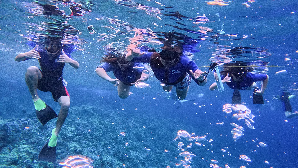 Papi's Ohana team members snorkeling with Pride of Maui