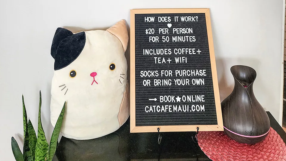 Cat Cafe Maui entrance sign showing pricing information and booking details for visitors to the Kahului location