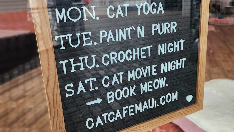 Weekly event schedule board at Cat Cafe Maui listing cat yoga, paint with cats, and movie nights at the Kahului location