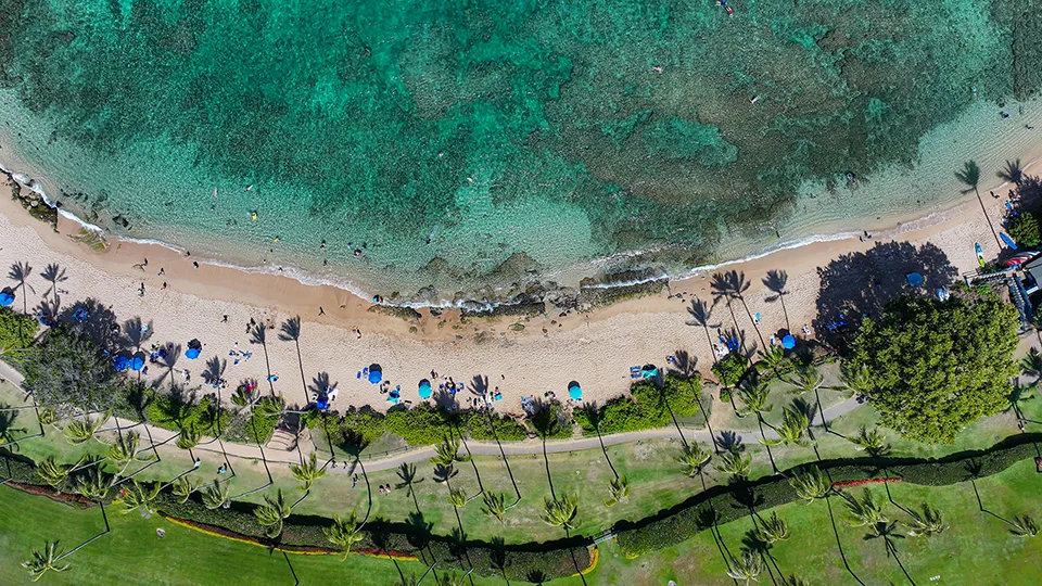 Overhead view of Kapalua Bay Beach lined with palm trees and umbrellas, showing its gentle curve and reef.