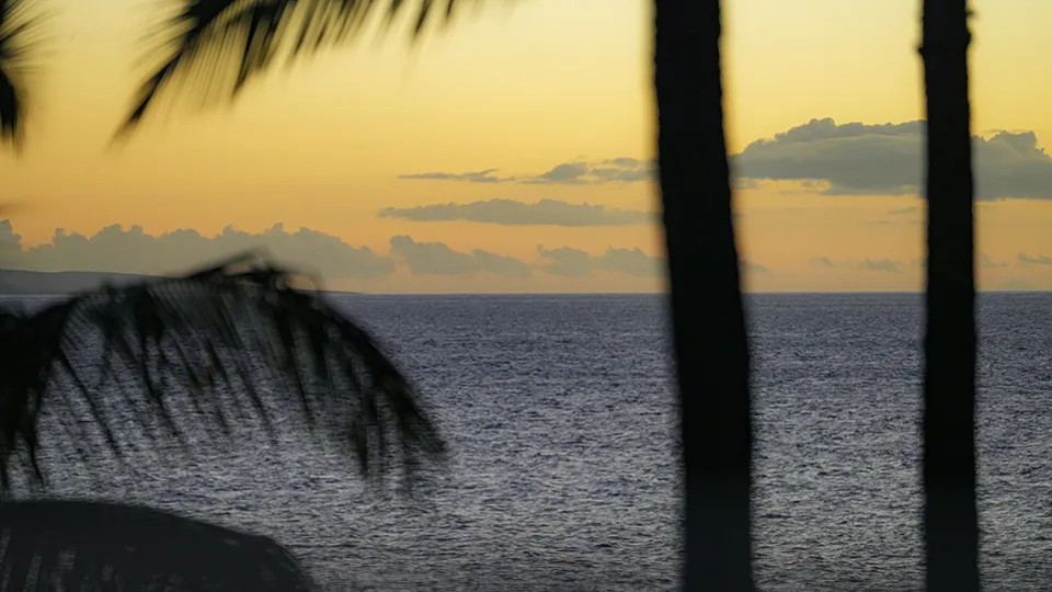 Orange-pink Maui sunset through palm trees at Kāʻanapali Beach.