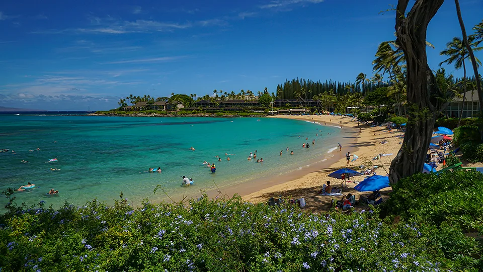 View of Napili Bay with swimmers and turquoise water on a sunny day.