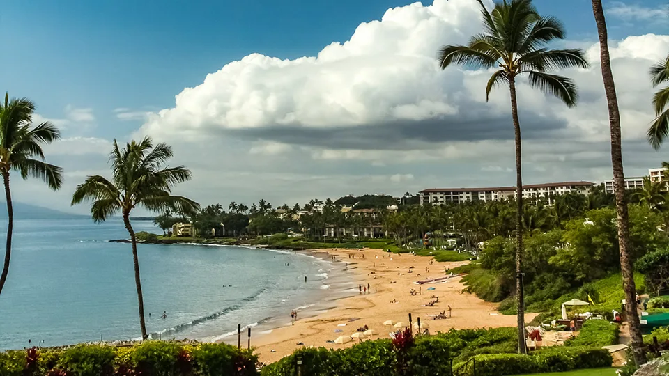 Palm-lined stretch of Wailea Beach Path overlooking calm ocean waters.