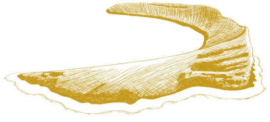 Gold Molokini Crater Illustration Large