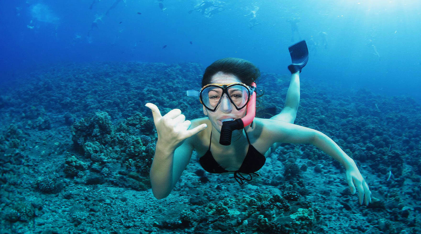 Guest Snorkeling Underwater Giving a Shaka