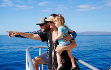 Guests watch whales from the deck