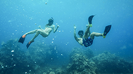 Guests Snorkeling over Coral