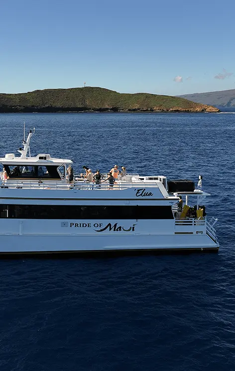 Elua Molokini snorkel tour Maui