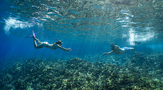 Couple snorkeling above coral reef at Molokini.