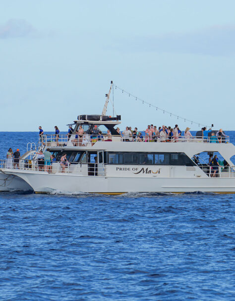 Pride of Maui Sailing with Guests on a Maui Whale Watch Snorkel Tour