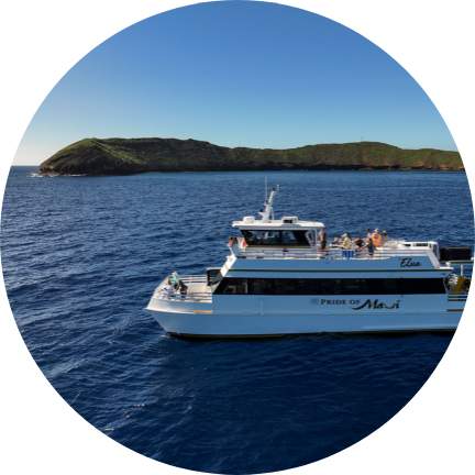 Elua Luxury tour boat